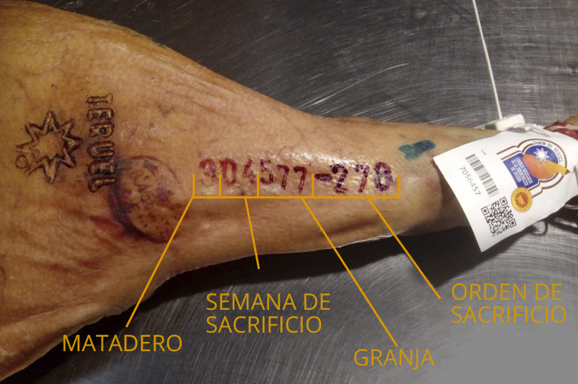 Imagen explicativa de la trazabilidad del jamón de Teruel