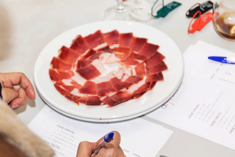 ham-tasting-session