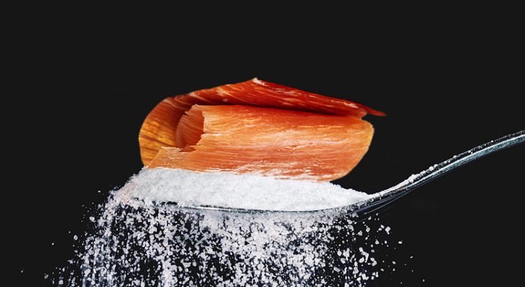 ¿Es el azúcar un ingrediente imprescindible en el jamón?